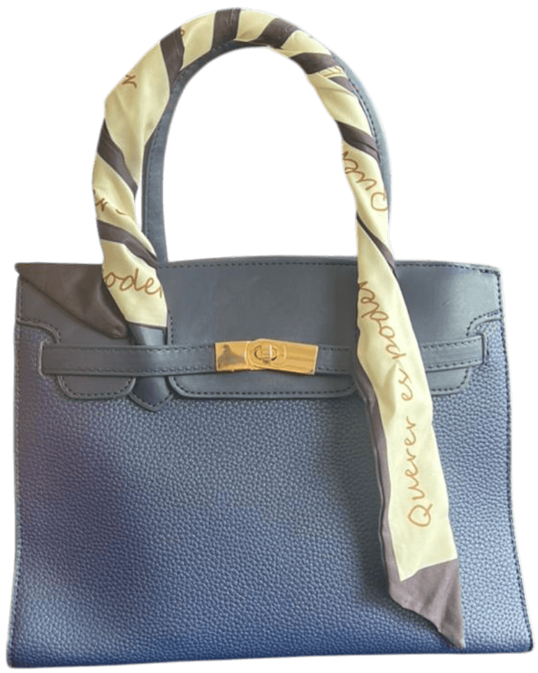 CARTERA DE DAMA